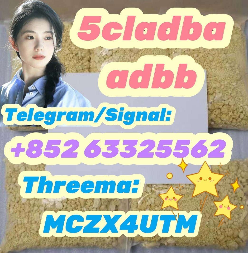 Direct selling High purity Precursor 5cladba